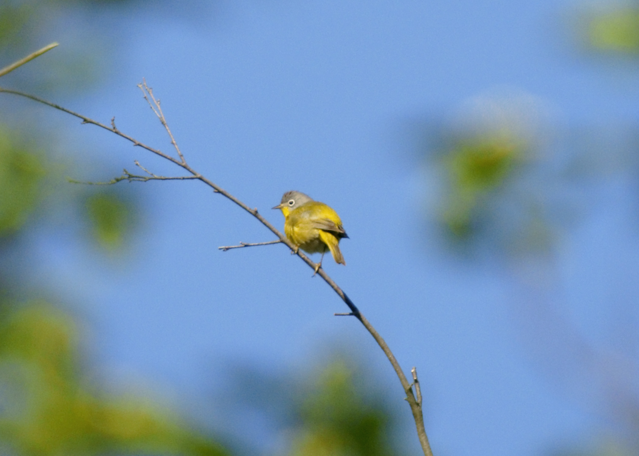 Conservation NW – People who do real work