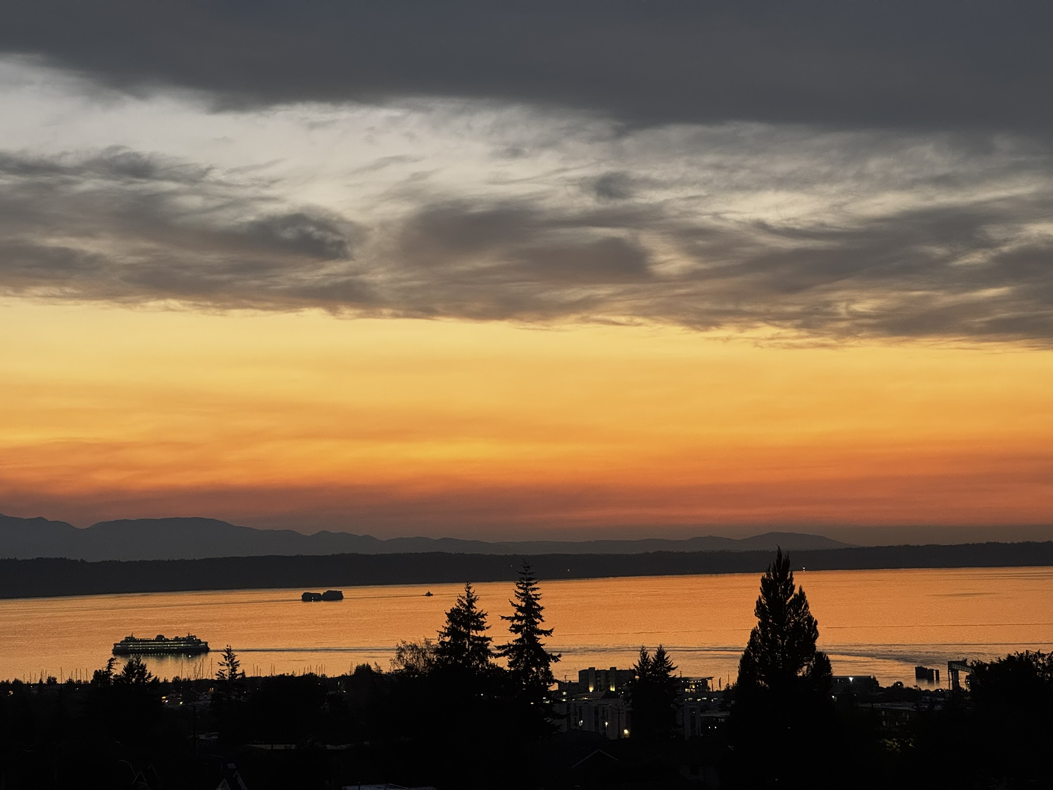 Edmonds Fiscal Sustainability Task Force